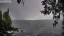 ./images/koeye/fitz-hugh/20260323/fitz-hugh20260323_155502M.jpg