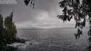 ./images/koeye/fitz-hugh/20260323/fitz-hugh20260323_162501M.jpg