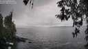 ./images/koeye/fitz-hugh/20260323/fitz-hugh20260323_163001M.jpg
