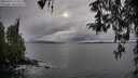 ./images/koeye/fitz-hugh/20260323/fitz-hugh20260323_172502M.jpg