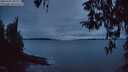 ./images/koeye/fitz-hugh/20260323/fitz-hugh20260323_202001M.jpg