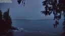 ./images/koeye/fitz-hugh/20260324/fitz-hugh20260324_070001M.jpg