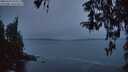 ./images/koeye/fitz-hugh/20260324/fitz-hugh20260324_070502M.jpg