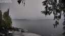 ./images/koeye/fitz-hugh/20260324/fitz-hugh20260324_075501M.jpg