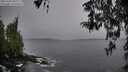 ./images/koeye/fitz-hugh/20260324/fitz-hugh20260324_082002M.jpg