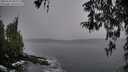 ./images/koeye/fitz-hugh/20260324/fitz-hugh20260324_084001M.jpg