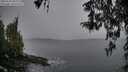 ./images/koeye/fitz-hugh/20260324/fitz-hugh20260324_090002M.jpg