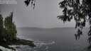 ./images/koeye/fitz-hugh/20260324/fitz-hugh20260324_090501M.jpg