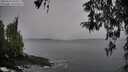 ./images/koeye/fitz-hugh/20260324/fitz-hugh20260324_093501M.jpg