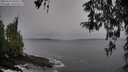 ./images/koeye/fitz-hugh/20260324/fitz-hugh20260324_094502M.jpg