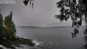 ./images/koeye/fitz-hugh/20260324/fitz-hugh20260324_095002M.jpg