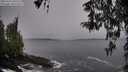 ./images/koeye/fitz-hugh/20260324/fitz-hugh20260324_100501M.jpg
