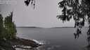 ./images/koeye/fitz-hugh/20260324/fitz-hugh20260324_105501M.jpg