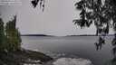 ./images/koeye/fitz-hugh/20260324/fitz-hugh20260324_113501M.jpg