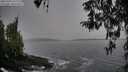 ./images/koeye/fitz-hugh/20260324/fitz-hugh20260324_131501M.jpg