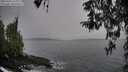 ./images/koeye/fitz-hugh/20260324/fitz-hugh20260324_134001M.jpg