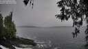 ./images/koeye/fitz-hugh/20260324/fitz-hugh20260324_134501M.jpg
