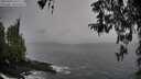 ./images/koeye/fitz-hugh/20260324/fitz-hugh20260324_141502M.jpg