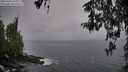 ./images/koeye/fitz-hugh/20260324/fitz-hugh20260324_152002M.jpg