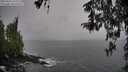 ./images/koeye/fitz-hugh/20260324/fitz-hugh20260324_152501M.jpg