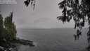 ./images/koeye/fitz-hugh/20260324/fitz-hugh20260324_153501M.jpg