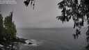 ./images/koeye/fitz-hugh/20260324/fitz-hugh20260324_160001M.jpg