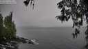 ./images/koeye/fitz-hugh/20260324/fitz-hugh20260324_160501M.jpg