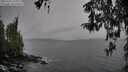 ./images/koeye/fitz-hugh/20260324/fitz-hugh20260324_162001M.jpg