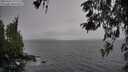 ./images/koeye/fitz-hugh/20260324/fitz-hugh20260324_171501M.jpg