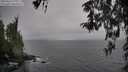 ./images/koeye/fitz-hugh/20260324/fitz-hugh20260324_172002M.jpg