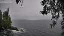 ./images/koeye/fitz-hugh/20260324/fitz-hugh20260324_172502M.jpg