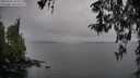 ./images/koeye/fitz-hugh/20260324/fitz-hugh20260324_185001M.jpg