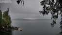 ./images/koeye/fitz-hugh/20260324/fitz-hugh20260324_192002M.jpg