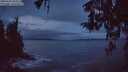 ./images/koeye/fitz-hugh/20260325/fitz-hugh20260325_064501M.jpg