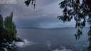 ./images/koeye/fitz-hugh/20260325/fitz-hugh20260325_070501M.jpg