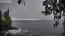 ./images/koeye/fitz-hugh/20260325/fitz-hugh20260325_075502M.jpg