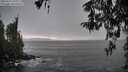 ./images/koeye/fitz-hugh/20260325/fitz-hugh20260325_080001M.jpg