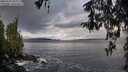 ./images/koeye/fitz-hugh/20260325/fitz-hugh20260325_082501M.jpg