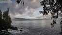 ./images/koeye/fitz-hugh/20260325/fitz-hugh20260325_084001M.jpg