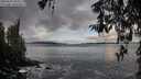 ./images/koeye/fitz-hugh/20260325/fitz-hugh20260325_084501M.jpg