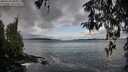 ./images/koeye/fitz-hugh/20260325/fitz-hugh20260325_085001M.jpg