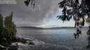 ./images/koeye/fitz-hugh/20260325/fitz-hugh20260325_090501M.jpg