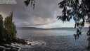 ./images/koeye/fitz-hugh/20260325/fitz-hugh20260325_091001M.jpg