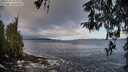 ./images/koeye/fitz-hugh/20260325/fitz-hugh20260325_091501M.jpg