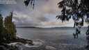 ./images/koeye/fitz-hugh/20260325/fitz-hugh20260325_092001M.jpg
