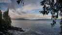 ./images/koeye/fitz-hugh/20260325/fitz-hugh20260325_092502M.jpg