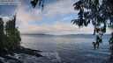 ./images/koeye/fitz-hugh/20260325/fitz-hugh20260325_093001M.jpg