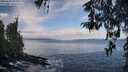 ./images/koeye/fitz-hugh/20260325/fitz-hugh20260325_093501M.jpg