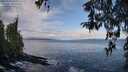 ./images/koeye/fitz-hugh/20260325/fitz-hugh20260325_094001M.jpg