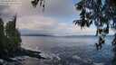 ./images/koeye/fitz-hugh/20260325/fitz-hugh20260325_094501M.jpg